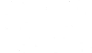 blank